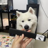 西村 えり review photo