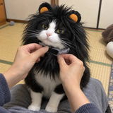 田村 健一 review photo