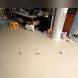 佐藤 美咲 review photo