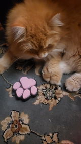 Happy customer review photo