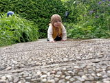 Ramona A. review photo