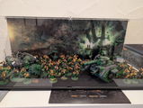 Markus review photo