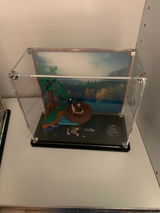 LanternForLife review photo