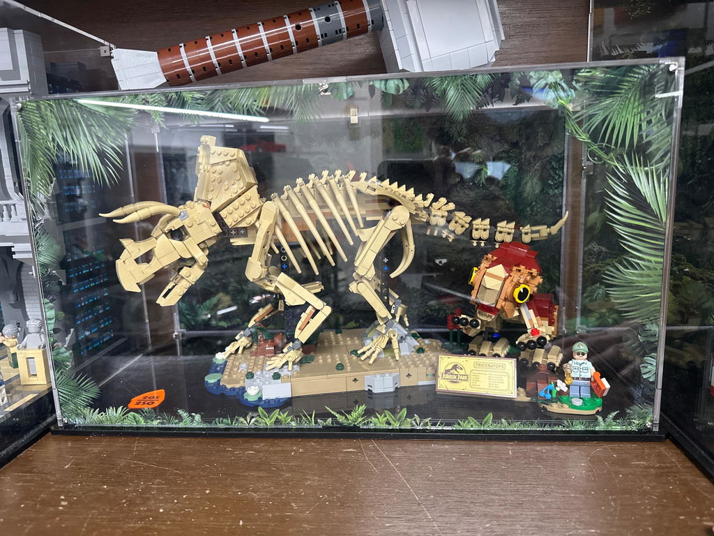 Limited Edition Display Case for LEGO® Dinosaur Fossils: Triceratops (77985)