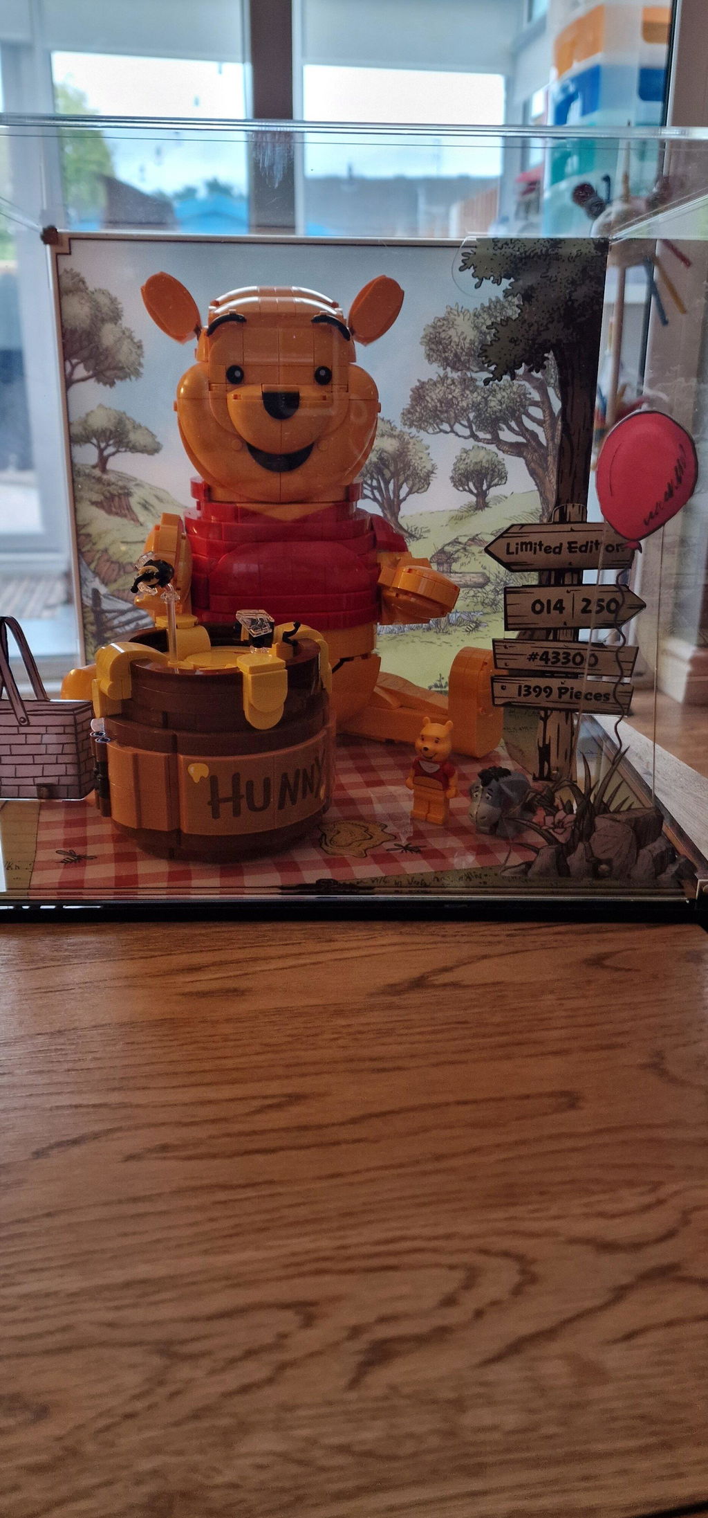 Limited Edition Display Case for LEGO® Disney Winnie the Pooh (43300)