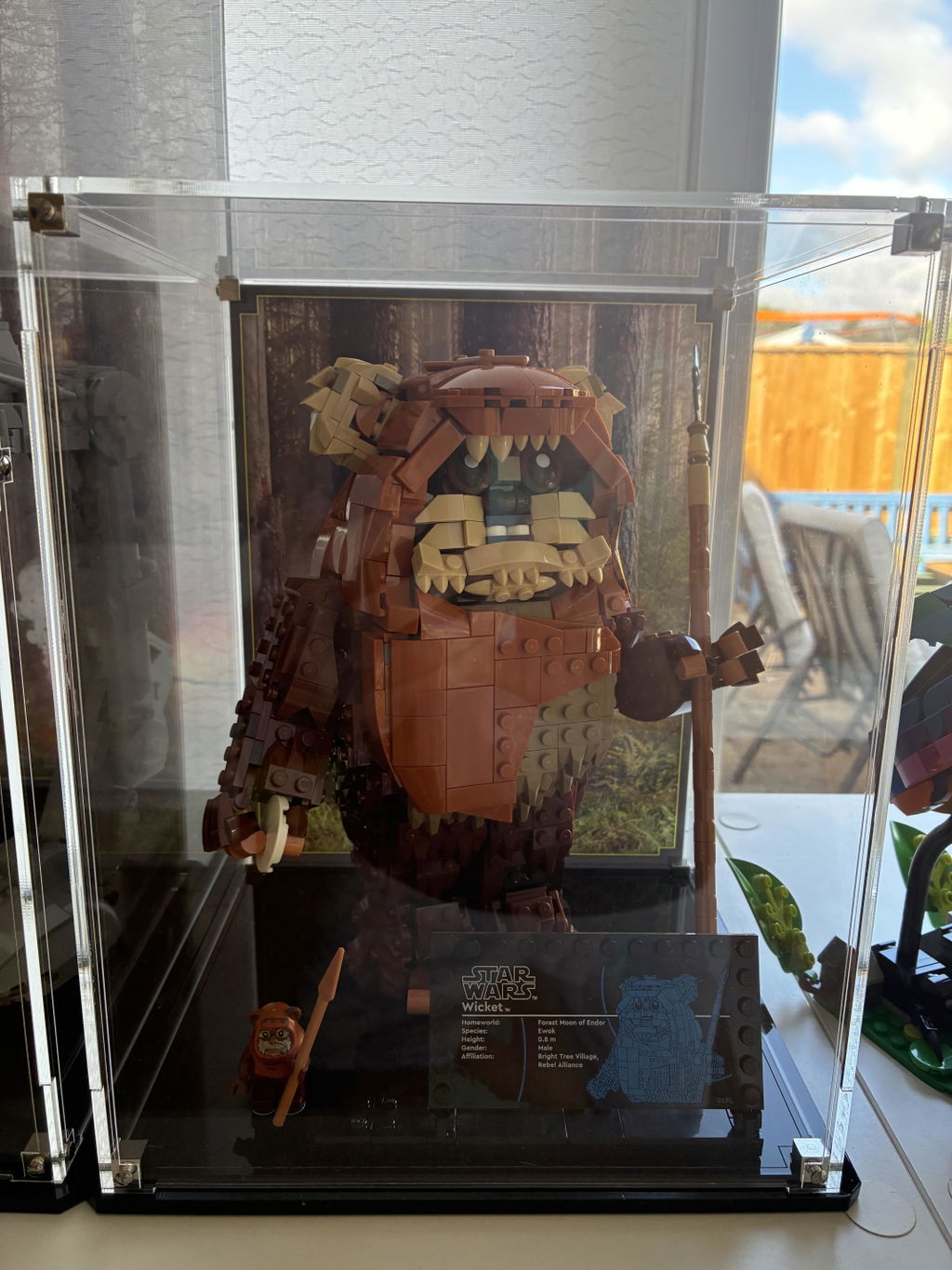 Display Case for LEGO® Star Wars: Wicket the Ewok (75430)