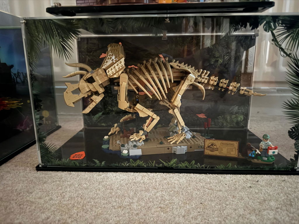 Limited Edition Display Case for LEGO® Dinosaur Fossils: Triceratops (77985)