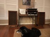 Mitch review photo