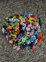Caiten B. review photo
