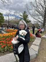 Anonymous review photo