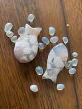 Pansy J review photo
