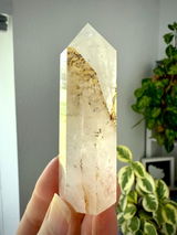 Rosalia C review photo
