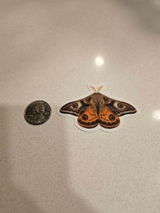 Etsy c. review photo