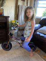 Wildcat Mini BMX
