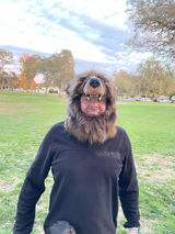 Tony Davis review photo