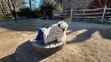 Dawn Laney review photo