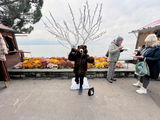 Dana Amini review photo