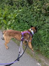 justina review photo