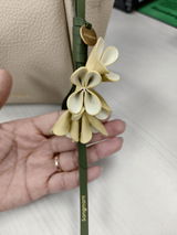 C.N. review photo
