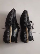 Hector F Vergara review photo
