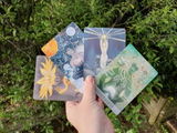Amanda S. review photo