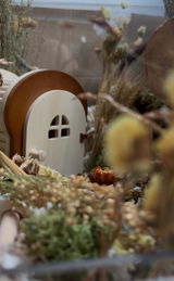 Niamh review photo