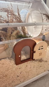 Nellie review photo