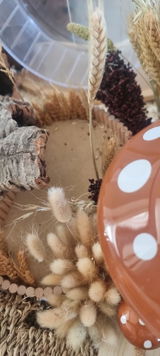 Sonja S. review photo