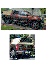 WildTop Truck Caps