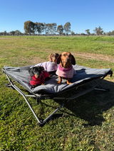 Wildtrak Deluxe Folding Pet Camp Bed XL with Removable Cover 95x95cm