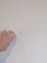 Mark Edwards review photo