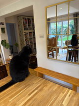 Kate review photo