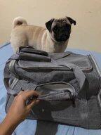 Chloe & Tyler — Verified Buyer (CO) review photo