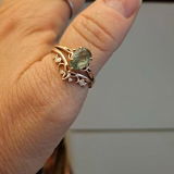 Shelleen review photo