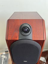 Paul Anthony williams review photo