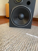 Paul Cerri review photo