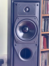 Thomas Robinson review photo
