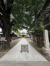 高橋明浩 review photo
