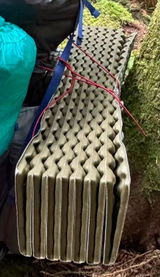budget_backpacker_tj review photo