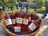Mirko Santoriello review photo