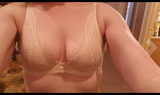 Holland review photo