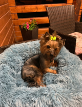 Lauren J. review photo