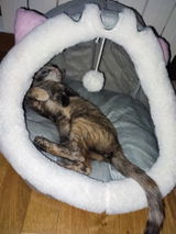 Wendy S. Bahner review photo