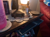 Patti S61 review photo