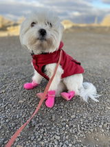 Harley Dinges review photo