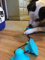Rhian S. review photo