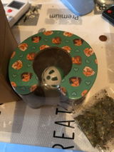 JAZ review photo