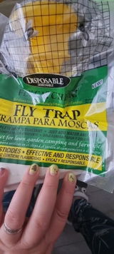 Massandra review photo