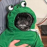 Joanna v2.0 review photo