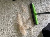 Tasha S. review photo